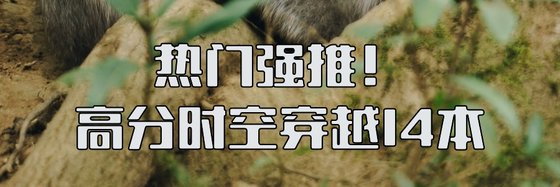 熱門強推！高分時空穿越14本